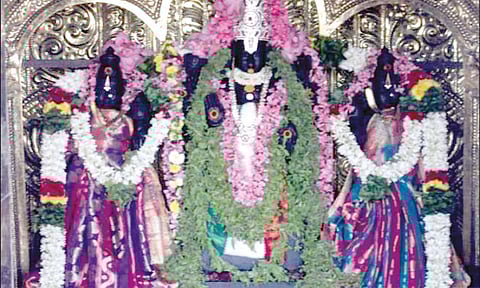 நீலிகணபதிபாளையம் கருடபெருமாள் கோவிலில் சிறப்பு பூஜை