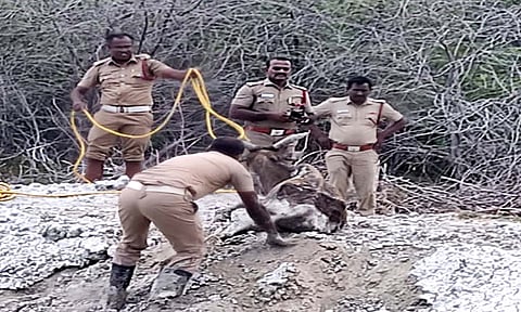 மீட்பு பணியில் ஈடுபட்ட தீயணைப்பு துறையினர்.