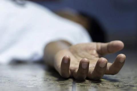 மரத்தில் இருந்து தவறி விழுந்தவர் சாவு