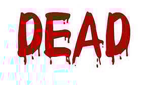 சின்னசேலத்தில்  ேமம்பாலம் தடுப்பு சுவரில் கார் மோதல்- பெண் என்ஜினீயர் பலி