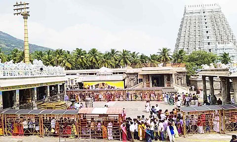 திருவண்ணாமலை அருணாசலேஸ்வரர் கோவிலில் தரிசனம் செய்ய பக்தர்கள் நீண்ட வரிசையில் நிற்பதை படத்தில் காணலாம்.