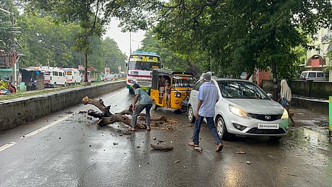 கடலூர் சுற்றுலா மாளிகை முகப்பு முன்பு மரக்கிளை முறிந்து உள்ளதை படத்தில் காணலாம்.