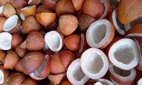 கோப்புபடம்.&nbsp;