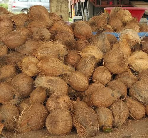வெப்பிலியில் தேங்காய் ஏலம்
