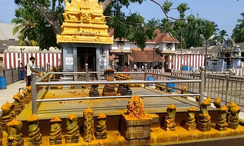 நாகர்கோவில் ஸ்ரீ நாகராஜா கோவில்