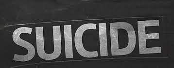 தனியார் விடுதியில் விவசாயி தற்கொலை