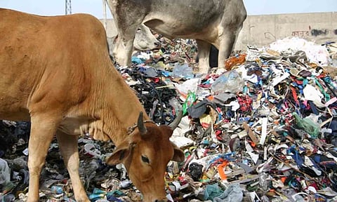 கோப்புபடம்.&nbsp;