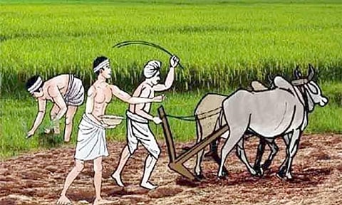 விவசாயிகளுக்கு தொழில்நுட்ப பயிற்சி