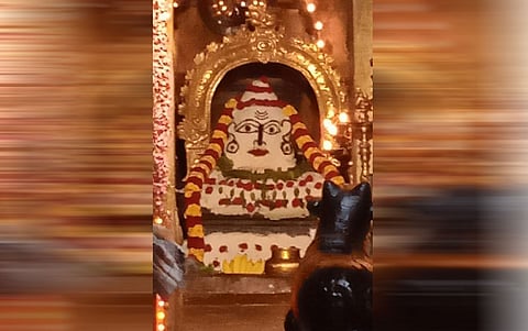 செங்கோட்டை  சிவன் கோவிலில் அன்னாபிஷேக வழிபாடு