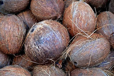 ரூ.5¾ லட்சத்துக்கு  தேங்காய் ஏலம்
