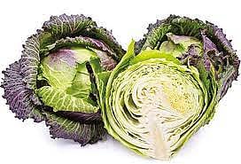 முட்டைக்கோஸ் கொள்முதல் விலை குறைந்தது.