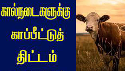 கால்நடைகளுக்கு காப்பீடு செய்ய கலெக்டர் அழைப்பு
