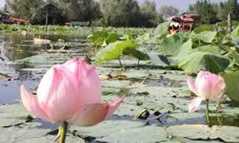 கோப்புபடம்.&nbsp;