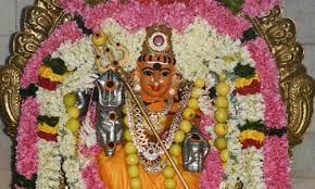 அம்மன் கோவிலில் சிறப்பு அபிஷேகம்