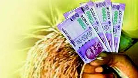 விடுமுறை நாளிலும் தொடக்க வேளாண்மை கூட்டுறவு கடன் சங்கம் செயல்படும்