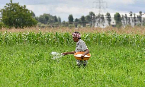 கோப்புபடம்.
