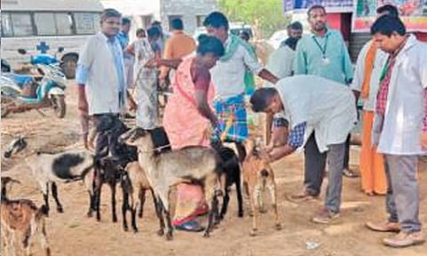 கோப்புபடம்.&nbsp;