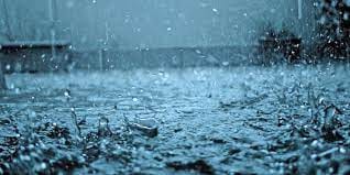 கடலூர் மாவட்டத்தில்  கனமழை காரணமாக  96 வீடுகள் இடிந்து சேதம் : 25 கால்நடைகள் இறந்தது