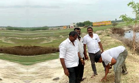 பனை மர விதைகளை விதைத்த காட்சி