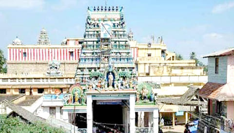 'முருகா' எனும் பெயரில் பயிரிட்ட அரிசியை சுவாமிமலை கோவிலுக்கு காணிக்கையாக வழங்கிய ஜப்பான் நடிகை