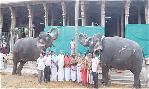 வைகுண்ட ஏகாதசி விழா: ஸ்ரீரங்கம் ரெங்கநாதர் கோவிலில் முகூர்த்தக்கால் நடும் நிகழ்ச்சி