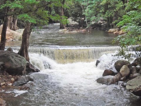 களக்காடு தலையணையில் ஆர்ப்பரித்து கொட்டும் தண்ணீர்.