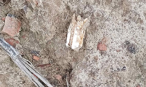 கொங்கராயக்குறிச்சியில் சாலை பணிகளுக்கு தோண்டியபோது கிடைத்த எலும்புகள்.