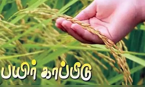 சம்பா பயிரை காப்பீடு செய்ய கால அவகாசம் நீட்டிப்பு - வேளாண்மைத்துறை அறிவிப்பு