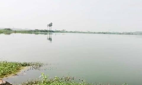 ஆக்கிரமிப்பின் பிடியில் உள்ள வேட்டுவன் குளம் கண்மாய்.