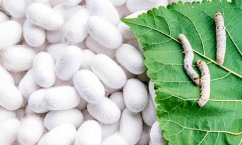 கோப்புபடம்.