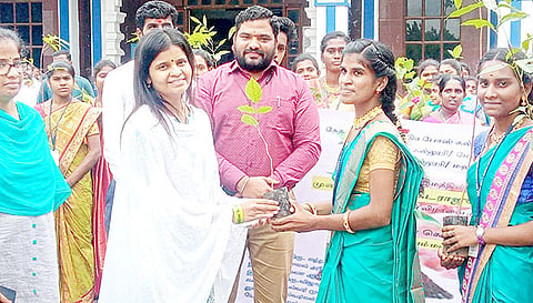 கலெக்டர் காயத்ரி கிருஷ்ணனிடம் நிர்வாகிகள் மரக்கன்று வழங்கினர்.