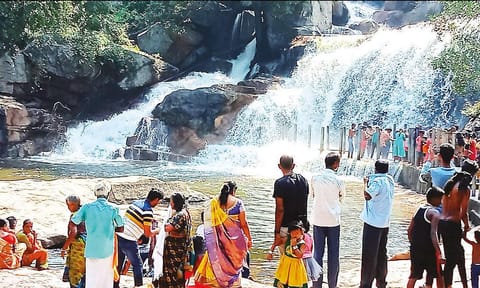 உடுமலை பஞ்சலிங்க அருவியில் குவியும் சுற்றுலா பயணிகள்