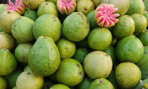 விற்பனைக்காக குவிக்கப்பட்டுள்ள சிவப்பு கொய்யாபழங்கள்.