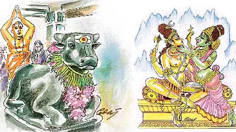 கடையம் நித்திய கல்யாணி அம்மன் கோவிலில் பிரதோஷ வழிபாடு