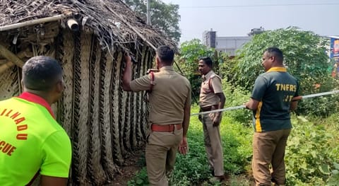 சூலூரில் தீயணைப்பு வீரர்களிடம் இருந்து தப்பிய நல்லபாம்பு