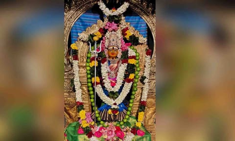 ஸ்ரீகருணாம்பிகை அம்மன்.