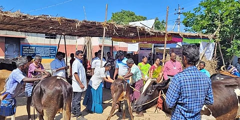 முகாம் நடைபெற்ற போது எடுத்த படம்.