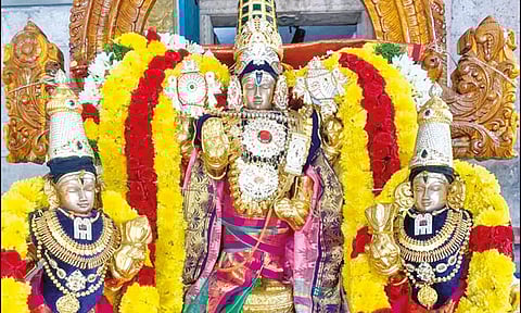 மங்கைமடம் வீரநரசிம்மர் கோவிலில் பவித்ரோற்சவம்