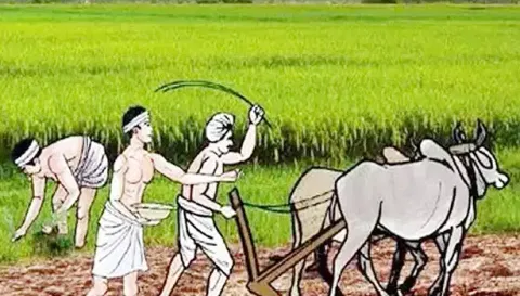 விவசாயிகளுக்கு இலவச மரக்கன்றுகள்- அதிகாரி தகவல்