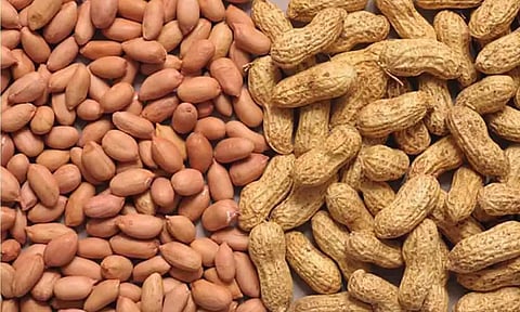 கோப்புபடம்