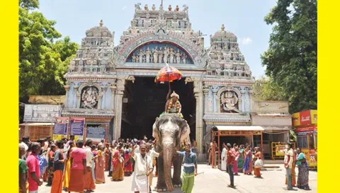 மதுரை மீனாட்சி அம்மன் கோவில் யானை பார்வதியை படத்தில் காணலாம்.
