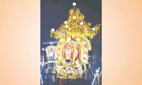 வெள்ளி கற்பக விருச்சக வாகனத்தில் நேற்று இரவு அண்ணாமலையார் பவனி வந்த போது எடுத்த படம்.