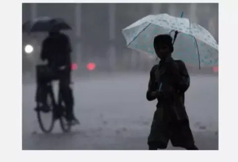 கடலூர் மாவட்டத்தில் பரவலாக மழை