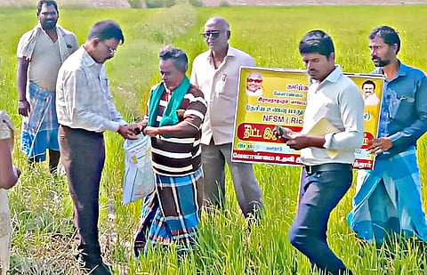 தொழு உரத்தை  சூப்பர் பாஸ்பேட் கலந்து விதைக்க அறிவுறுத்தல்