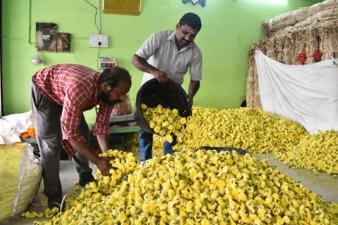 பூக்கள் விலை கிடுகிடு உயர்வு