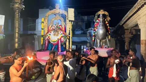 ஆழ்வார்திருநகரி ஆதிநாதர் ஆழ்வார் கோவிலில் கருட சேவை நிகழ்ச்சி நடைபெற்ற போது எடுத்தபடம்.