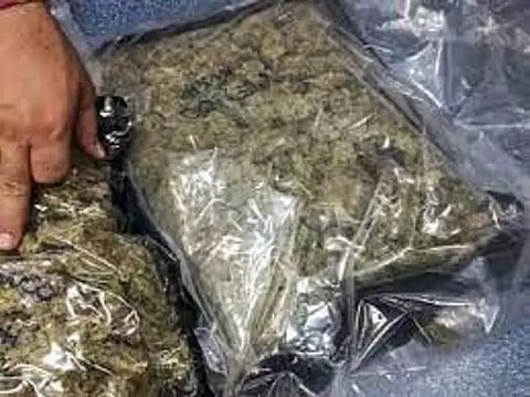 மோட்டார் சைக்கிளில் கஞ்சா வாங்கி வந்த 2 வாலிபர்கள்