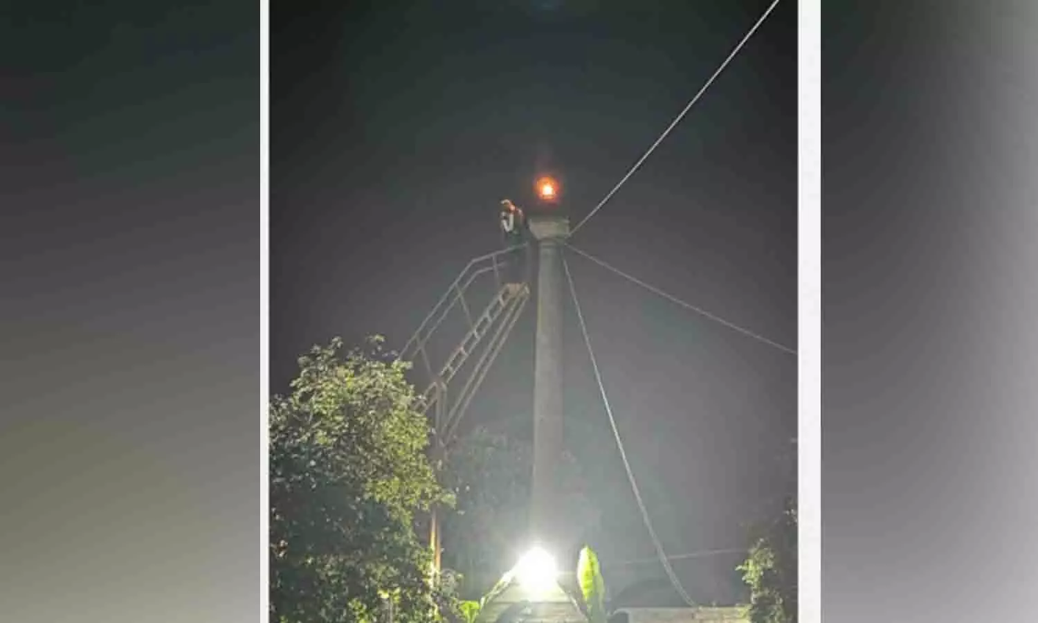 பல்லடம் கோவில்களில் கார்த்திகை வழிபாடு