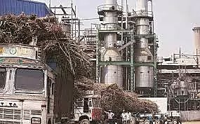 பெரம்பலூர் சர்க்கரை ஆலையில் இளஞ்சூடேற்றும் நிகழ்ச்சி தொடக்கம்