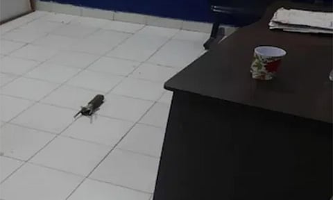 தாக்குதல் நடத்தப்பட்ட ராக்கெட் லாஞ்சர் புகைப்படம்